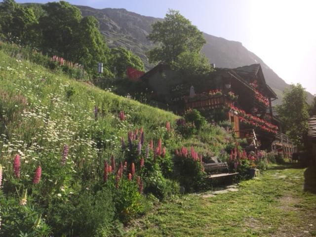 Le P'Tit Coin Montagne Daire Bonneval-sur-Arc Dış mekan fotoğraf